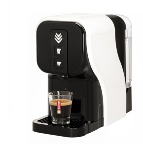 280213_104225_malongo_VZYuF8