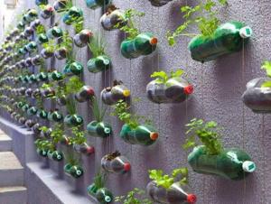 une-autre-façon-de-cultiver