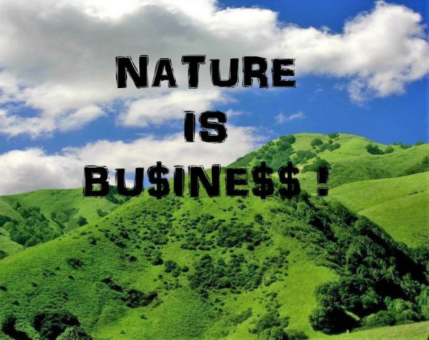 nature is business