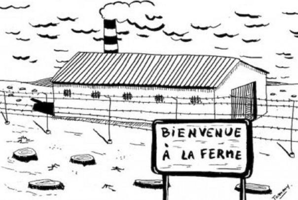 Image territoiredavenir.fr