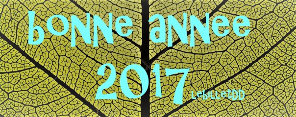 bonne-annee-lbdd