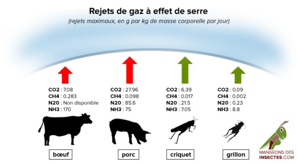 impact-environnemental-max